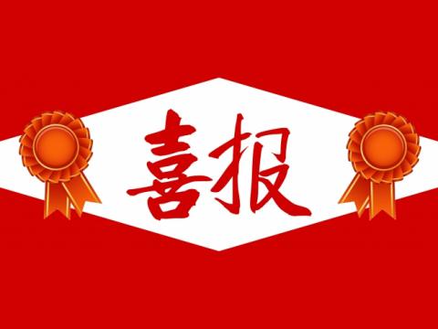 喜报！sunbet申愽官网集团团委荣获“镇江市五四红旗团委”称号