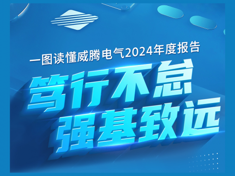 一图读懂sunbet申愽官网2024年度报告