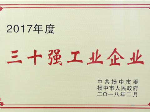 威腾集团晋升2017年度扬中市“三十强”前五位